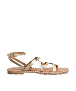 Northsun.shopb842f82052 1