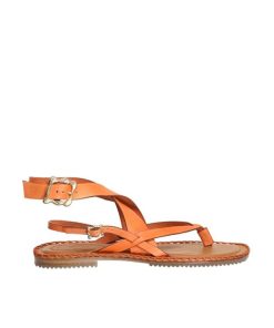 Northsun.shopf207dfa03b 1