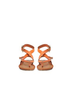 Northsun.shopf207dfa03b 5